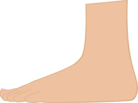 Standing Footのイラスト素材