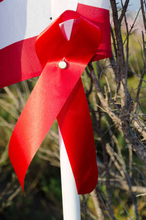 NEWPORT BEACH, CA - MAY 19: The Exchange Club of Newport Harbor sponsored the 2nd Annual Field of Honor event at Castaways Park on May 20-23, 2011 in Newport Beach, California.のeditorial素材