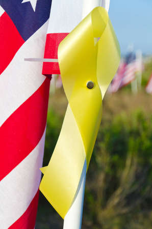 NEWPORT BEACH, CA - MAY 19: The Exchange Club of Newport Harbor sponsored the 2nd Annual Field of Honor event at Castaways Park on May 20-23, 2011 in Newport Beach, California.のeditorial素材