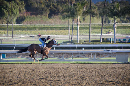 Arcadia, California, USA - December 29, 2011 - Behind the scenes, morning work outs with the race horses before the park opens and the spectators are admitted. のeditorial素材