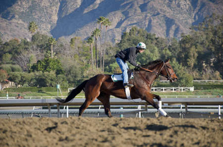 Arcadia, California, USA - December 29, 2011 - Behind the scenes, morning work outs with the race...