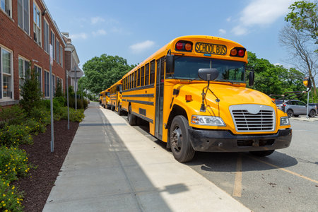 Yellow school buses parked in a row on a sunny summer day in front of school building ready for...
