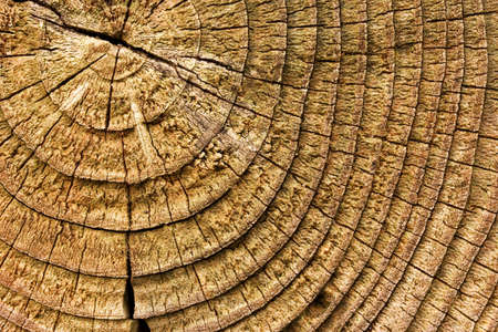 Texture of old weathered wood.