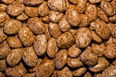 Pinto Beans Backgroundの写真素材