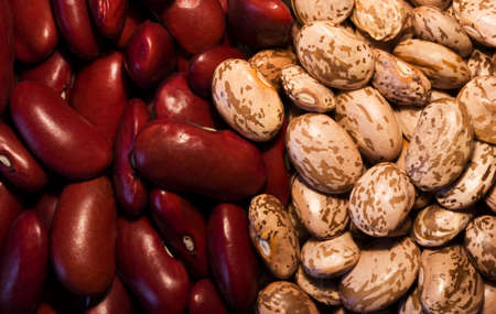 Background of Pinto and Kidney Beans.