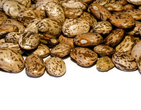 Pinto beans on white background.の写真素材