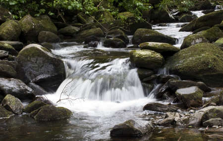 Small waterfall in a forest stream.の写真素材