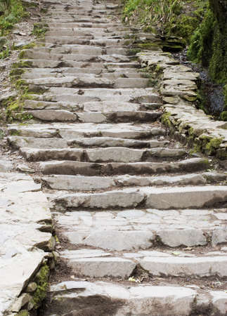 Stone Steps in the Woods