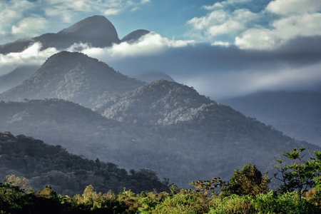Dramatic mountains and landscape of the wetlands of the Atlantic forest near Rio de Janeiro, Brazilの写真素材