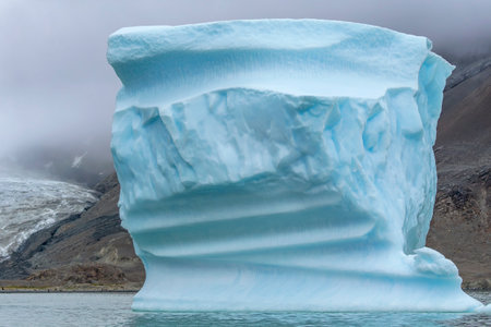 Iceberg in Fortuna Bay in the South Georgia and South Sandwich Islands with fog and mist