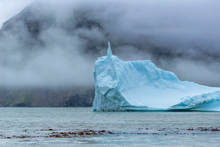 Iceberg in Fortuna Bay in the South Georgia and South Sandwich Islands with fog and mistの写真素材