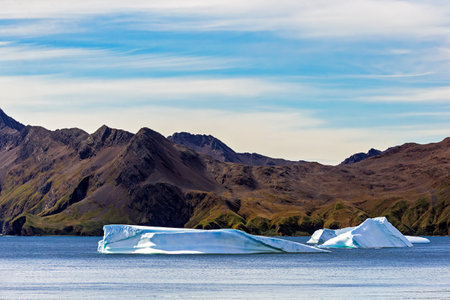 Icebergs and mountain landscape in Leith Harbour, South Georgia Island, Antarcticaの写真素材