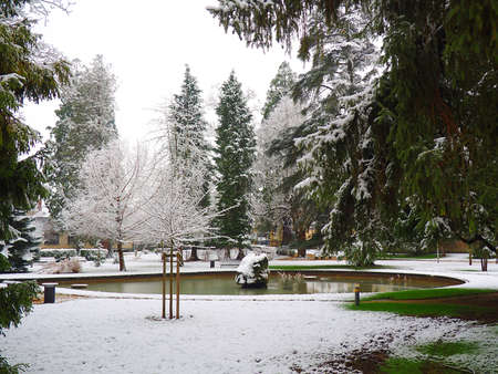 view of the garden city hall of Montargis under the snowの写真素材