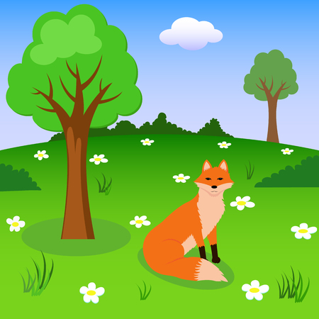 Vector illustration of the red fox on forest meadowのイラスト素材
