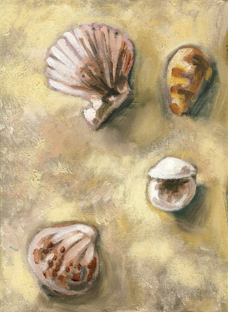 An original oil painting of shells found at the beach.の写真素材