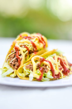 Delicious mexican taco With many types of saucesの写真素材