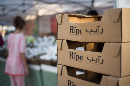 Dubai, United Arab Emirates - January 9, 2016: Weekend Ripe Market in Al Barsha Pond Park, Dubai