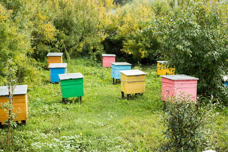 Colorful Wooden Bee Hives in a Gardenの写真素材