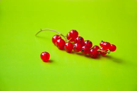 Bright shot of one red currant berry lying in front of a red currant cluster on green background in studio environment. Focus on a berryの写真素材