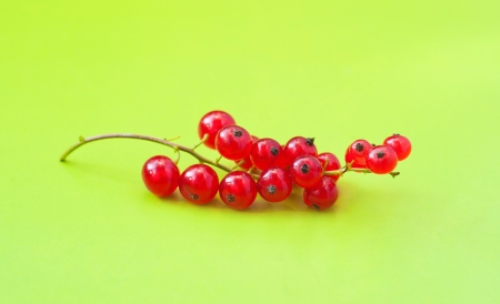 Bright and colorful photography of red currant berry clusters on green background in studio environmentの写真素材
