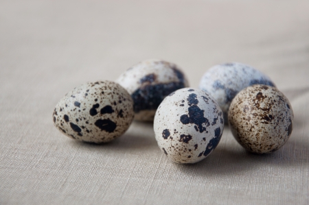Group of five spotted quail eggs lying on linen clothの写真素材