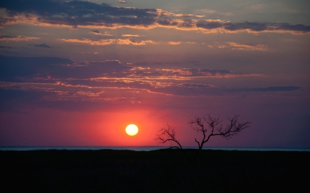 Landscape with black tree silhouette against sunset sky with sun and many clouds painted in red, orange, blueの写真素材