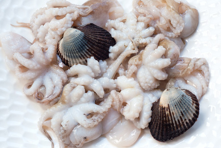 Fresh baby octopus and cockle shells lying on a white plate. Still life, copy space