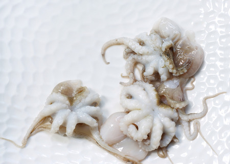 Fresh baby octopus lying on a white plate. Still life, copy spaceの写真素材