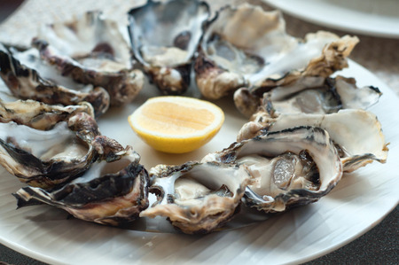 Fresh opened oysters on a plate with lemon slice. Selective focus, main focus of oysters in the frontの写真素材