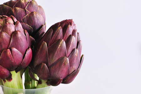 A bunch of beautiful fresh purple artichokes in a transparent jar on a table with round green table rugsの写真素材
