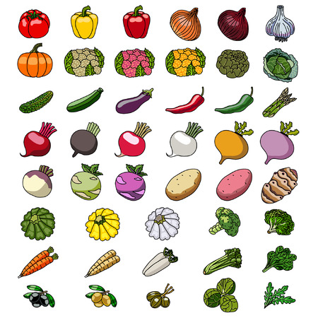 Vector icons of vegetables. Sketches.のイラスト素材
