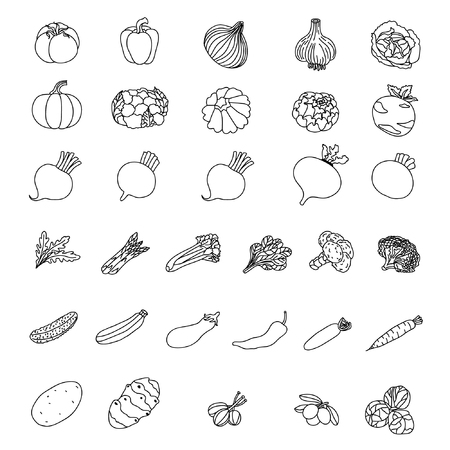 A Vector icons of vegetables. Elements of products.のイラスト素材