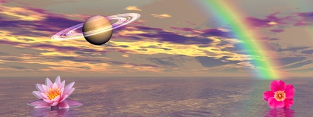 flowers and saturnの写真素材