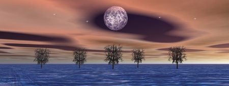 landscape and trees and moonの写真素材