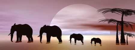 elephants and landscapeの写真素材