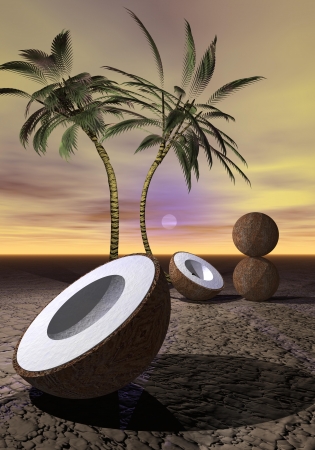 palms and coconutの写真素材