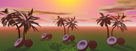 palms and coconutの写真素材