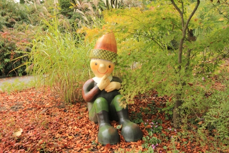 autumn and acornの写真素材