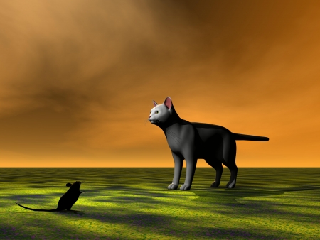 mouse black and cat greyの写真素材