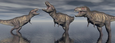 three tyrannosaure dinosaur in the lakeの写真素材