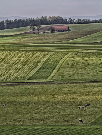 Farm in Swiss in a landscape of hills