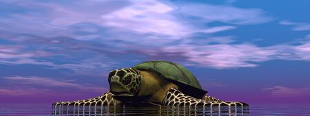 brown turtle in the ocean - 3d renderingの写真素材