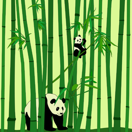 Panda family mother and baby in bamboo forestのイラスト素材