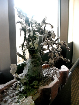 Ornamental plant の写真素材