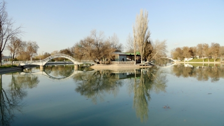 Bridge in the park の写真素材