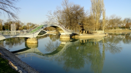 Bridge in the park の写真素材