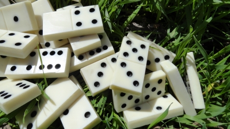 Domino 