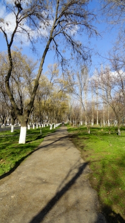 Parkの写真素材
