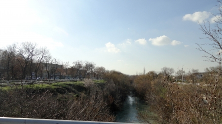 Nature Park の写真素材