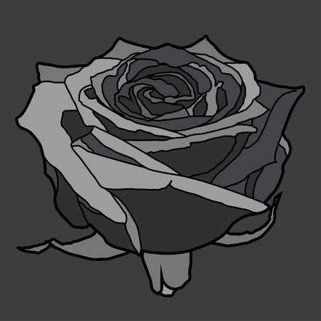 Vector illustration of a rose. Gray gothic rose on a gray background.のイラスト素材